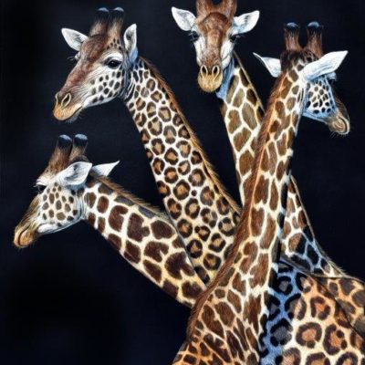 18x15 giclee print, Giraffa leopardis by artist Cynthie Fisher