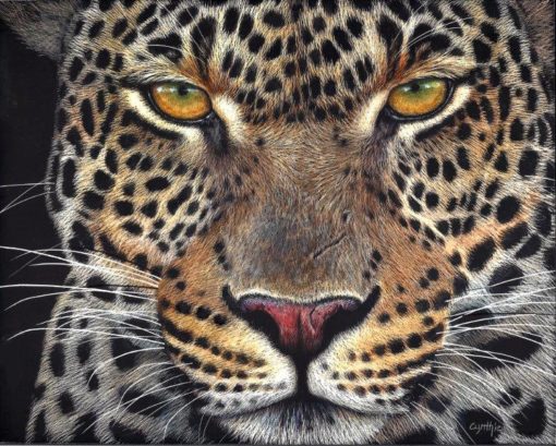 8x10 giclee print, Leopard Gaze by the artist Cynthie Fisher